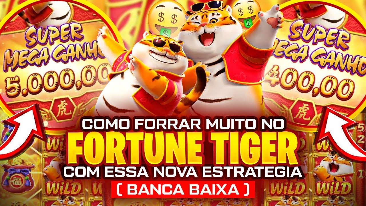 horario que fortune tiger paga Cartaz